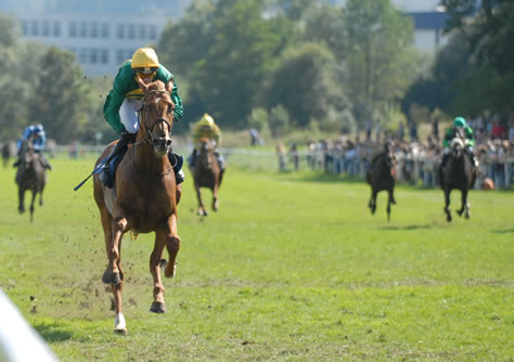 Majofils im St.Leger