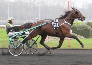 Kategorie: Amérique-Starter 2013