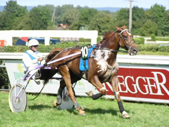 Gai Fayen und Yvan Pittet