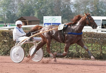 Gai Fayen und Marcel Humbert