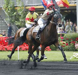 Gruppe-I-Siegerin Migraine