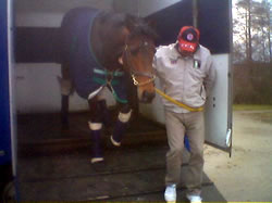 Royal Island aussteigen