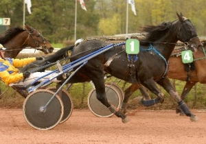 Kategorie: Avenches 20.April 2008