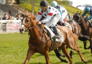 Kategorie: Avenches 1. Mai 2008