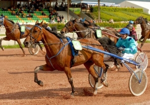 Kategorie: Avenches 8.Juni 2008