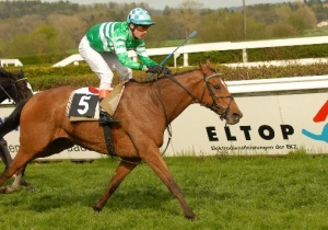 Kategorie: Dielsdorf 27.April 2008