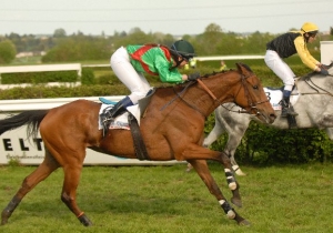 Kategorie: Dielsdorf 4. Mai 2008