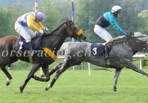 Kategorie: Aarau 24.Mai 2009