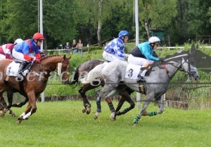 Kategorie: Aarau 7.Juni 2009