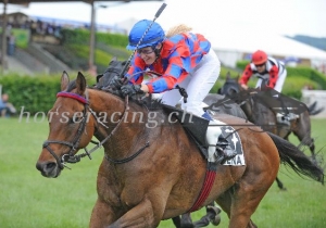 Kategorie: Avenches 14.Juni 2009