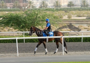 Kategorie: Godolphin Training