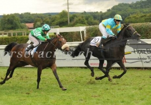 Kategorie: Dielsdorf 15.August 2010