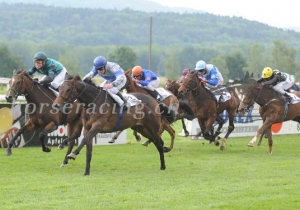 Kategorie: Frauenfeld 20.Juni 2010