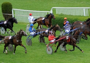 Kategorie: Aarau 15.Mai 2011