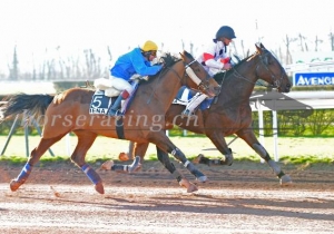 Kategorie: Avenches 20.März 2011