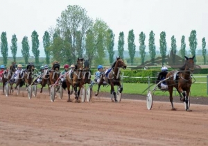 Kategorie: Avenches 23.April 2011