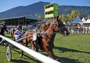 Kategorie: Maienfeld 16.Oktober 2011