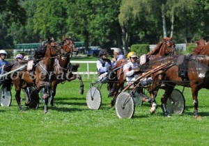 Kategorie: Aarau, 9.September 2012