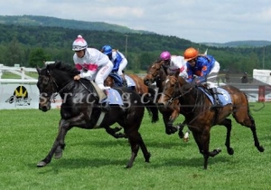 Kategorie: Frauenfeld 13.Mai 2012