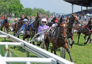 Kategorie: Frauenfeld 28.Mai 2012