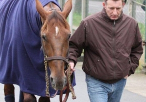 Kategorie: Grand Prix d'Amérique 2013