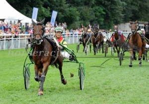 Kategorie: Aarau, 8.September 2013