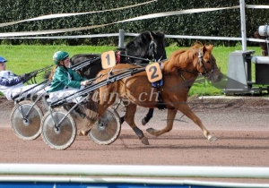 Kategorie: Avenches, 2.November 2013