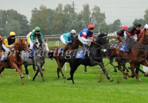 Kategorie: Dielsdorf, 29.9.13, Ueli Wild