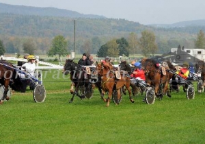 Kategorie: Frauenfeld, 20.Oktober 2013