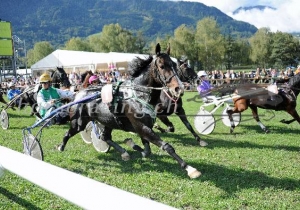 Kategorie: Maienfeld, 6.Oktober 2013