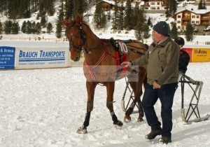 Kategorie: Arosa, 19.Januar 2014, Sieger