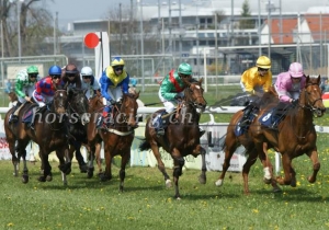 Kategorie: Fehraltorf, 13.4.2014 (K.Vorb.)