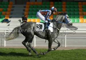 Kategorie: Avenches, 14.4.2014 (K.Vorb)