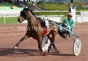 Kategorie: Avenches, 24.4.2014 (S.Schär)