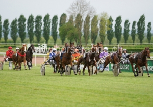 Kategorie: Avenches, 6.Mai 2014 (S.Schär)