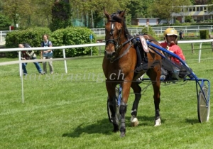 Kategorie: Aarau, 11.Mai 2014 (Sieger)