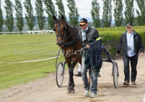 Kategorie: Avenches, 16.Mai 2014 (SIEGER)
