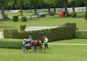 Kategorie: Aarau, 25.Mai 2014 (SIEGER)
