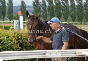 Kategorie: Avenches, 30.Mai 2014 (SIEGER)