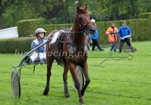 Kategorie: Aarau, 31.08.2014 (SIEGER)