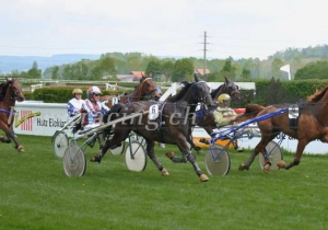 Kategorie: Dielsdorf, 4.Mai 2014 (Ueli Wild