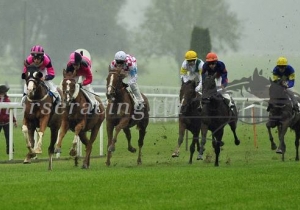 Kategorie: Frauenfeld, 18.10.2015 (U.Wild)