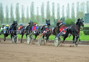 Kategorie: Avenches, 31.10.2015 (U.Wild)