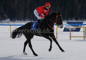 Kategorie: St. Moritz, 26.02.2017 (S.Schär)