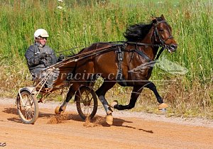 Kategorie: Bold Eagle vor dem Elitloppet (S.Caron)