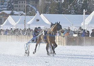 Kategorie: St. Moritz, 04.02.2018 (M.Bürgin)