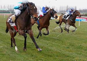 Kategorie: Avenches, 26.03.2018 (S.Schär)