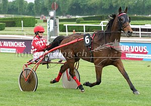 Kategorie: Avenches, 2.5.2018 (S. Schär)