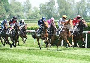 Kategorie: Dielsdorf, 6.5.2018 (S.Schär)