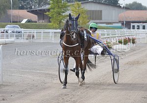 Kategorie: Avenches, 6.10.2018 (M.Bürgin)